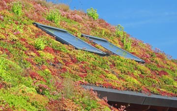 Nib Heath living roof systems