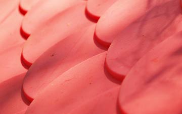 Nib Heath plastic roof costs