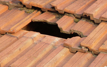 roof repair Nib Heath, Shropshire