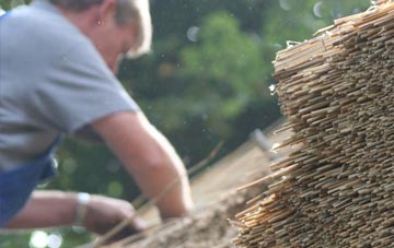 professional Nib Heath thatchers