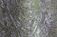 Nib Heath fibreglass roof work