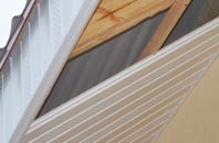 rated Nib Heath soffit repair companies